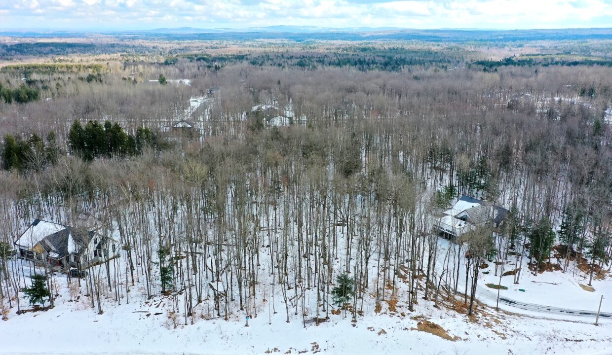 DJI_0217